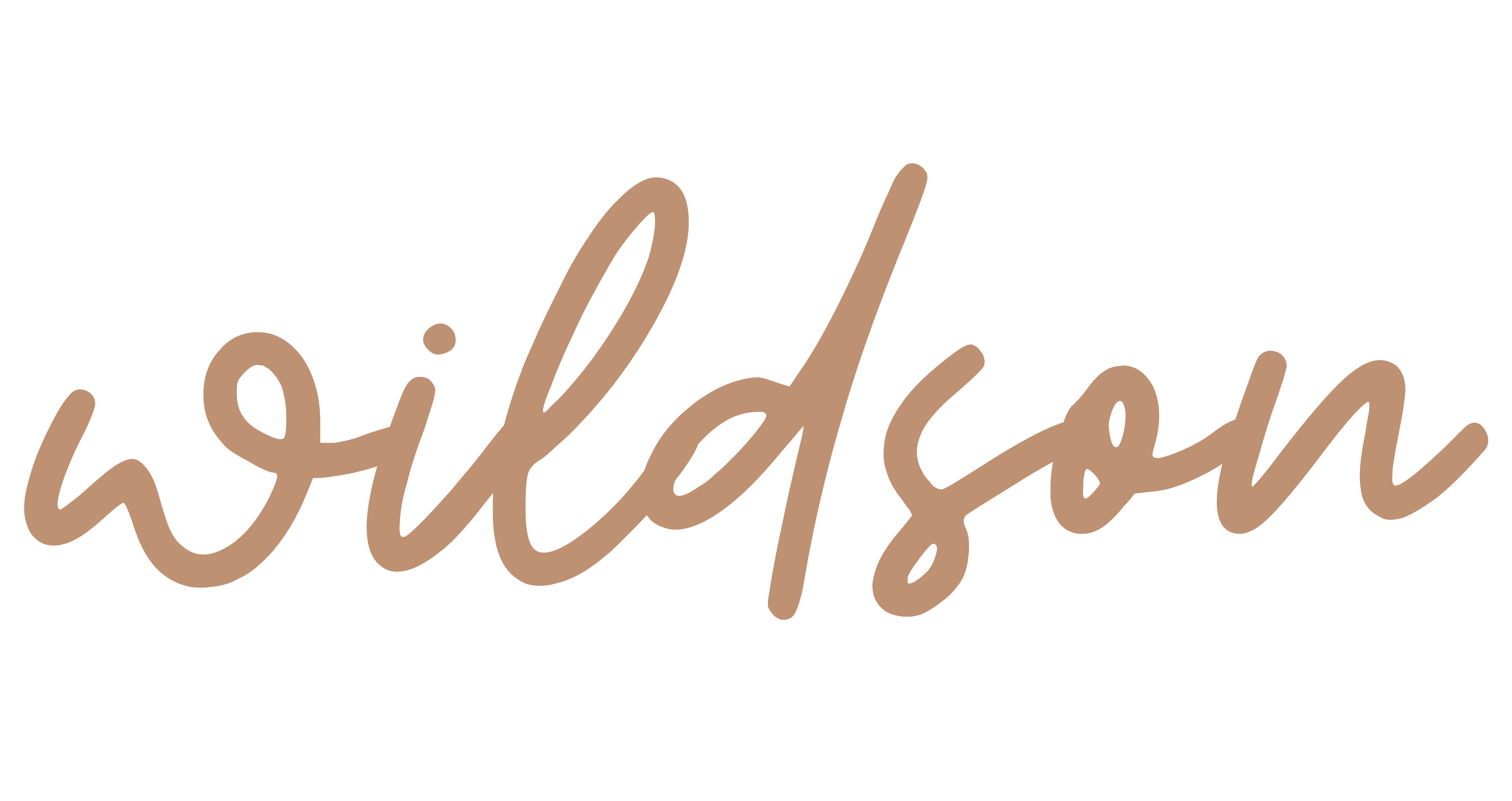 Wildson Mountain Goods